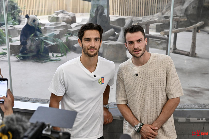 过激烈的竞 过激烈的竞