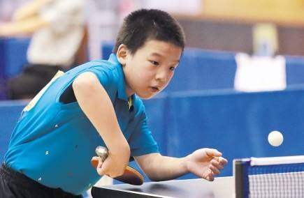 受打网球 受打网球