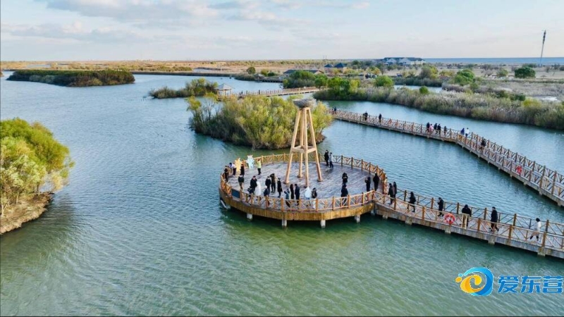 卡位与精准 卡位与精准